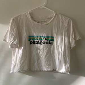 Cropped Patagonia T-Shirt